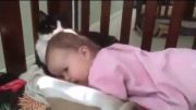 Cute Little Kitten And Sleeping Baby
