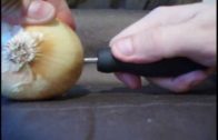 How To Charge An Ipod Using Electrolytes And An Onion