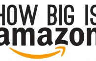 How Big Is Amazon
