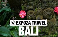 Bali Vacation Travel Video Guide