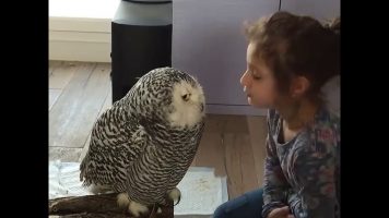 A Loving Bird With Its Human Friend