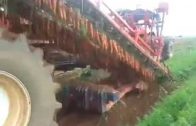The Radish Harvester Machine At Work