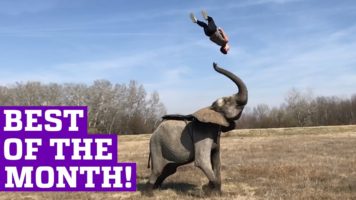 People Are Awesome – Best Of March 2017