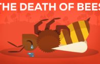 The Death Of Bees Explained – Parasites, Poison and Humans