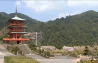 Nachi Temple & Waterfall In Japan