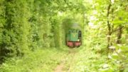 The Train In Tunnel Of Love, Ukraine