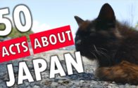 50 Shocking Facts About Japan You Won’t Believe Are True