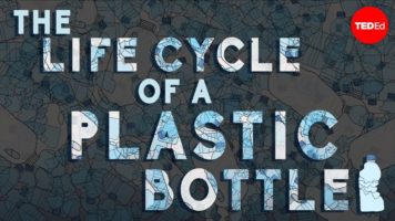 The Dangers Of Throwing Away Plastic