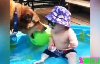 Funny Babies Laughing At Their Pets
