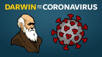 Where Do New Viruses Come From?